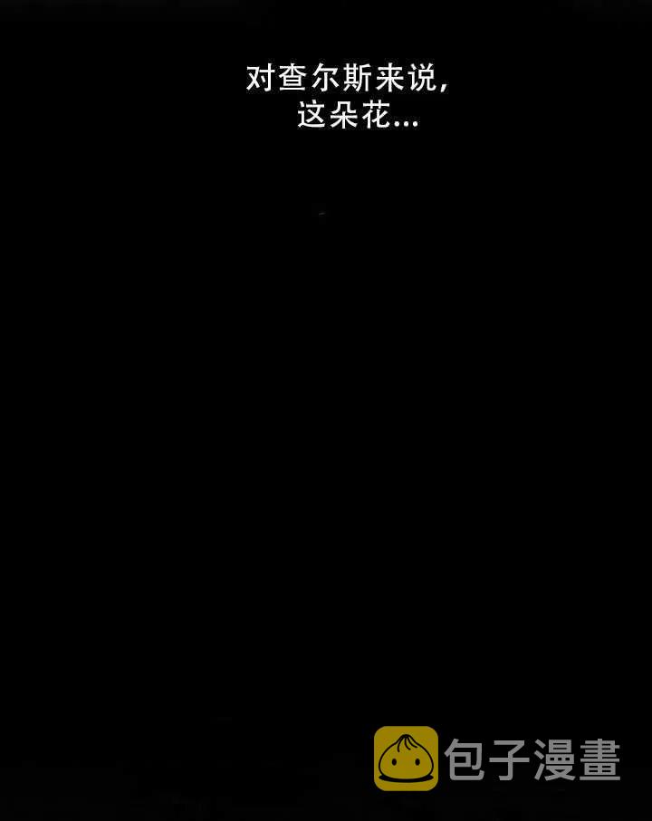 32.黑玫瑰3