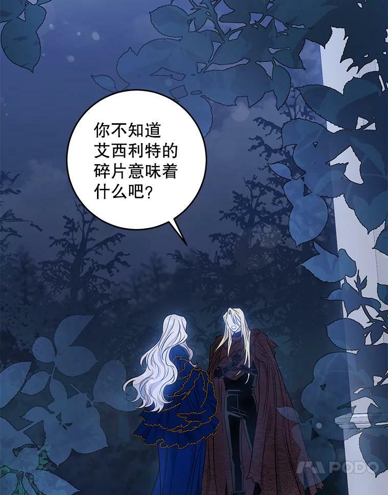 63.艾西利特碎片43