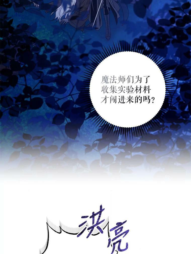 78.拉菲内一族71