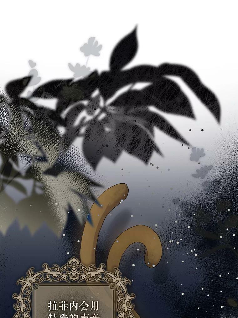78.拉菲内一族113
