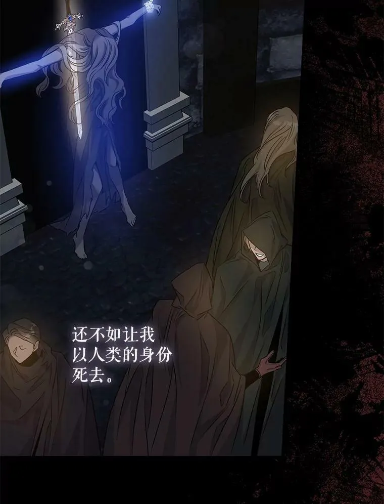 77.精灵的真实身份39