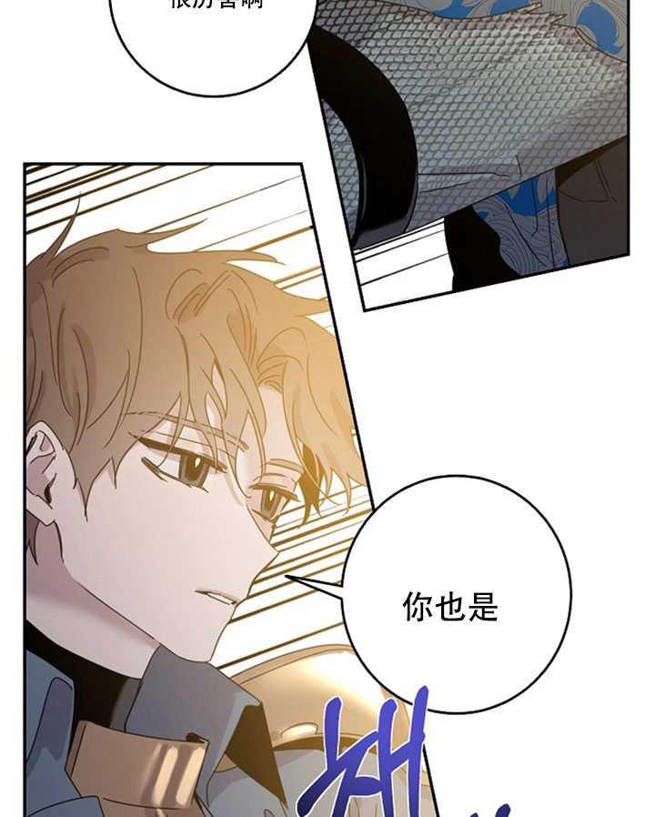 20.庆典上的偶遇21