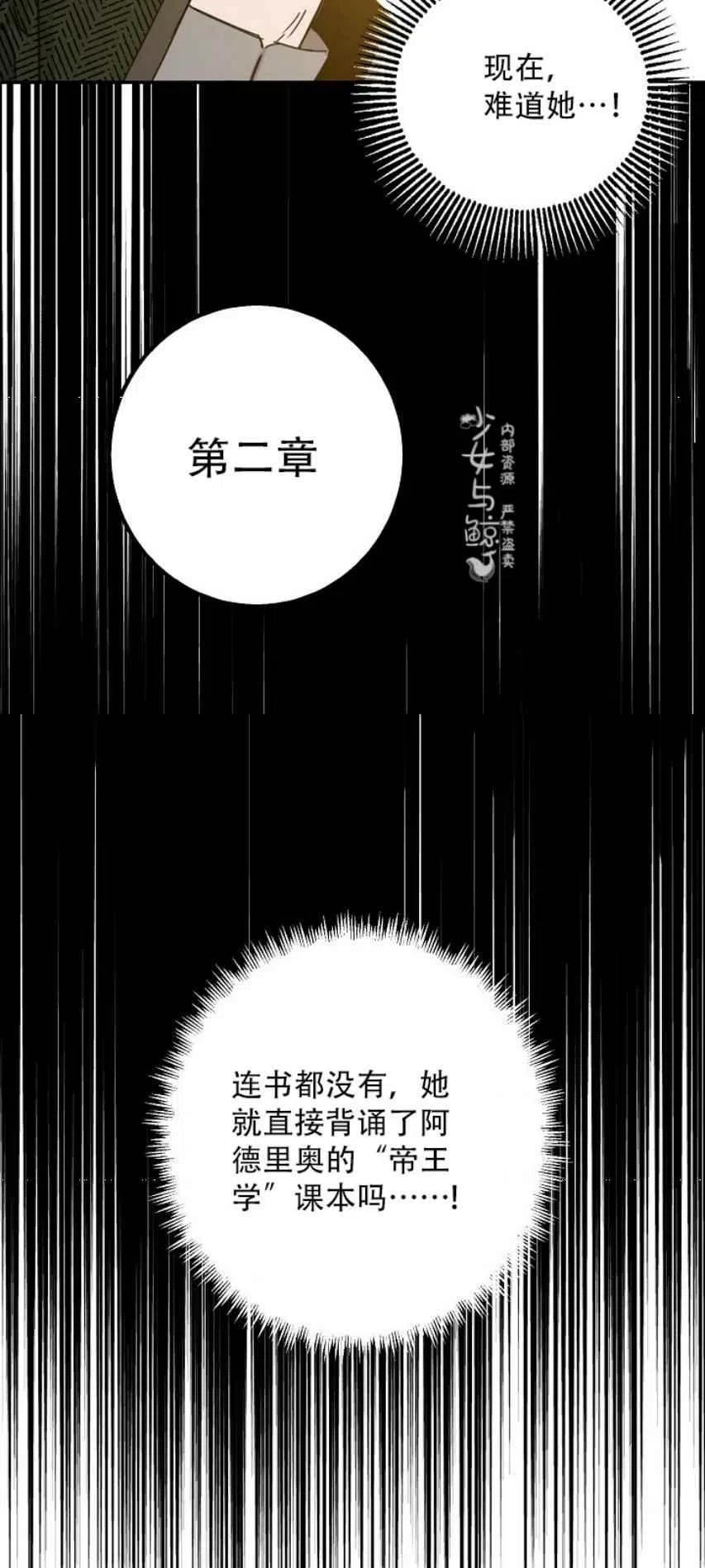 8.首次出击28