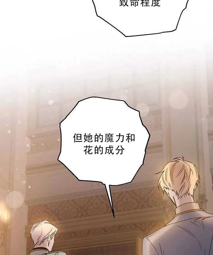 32.黑玫瑰62