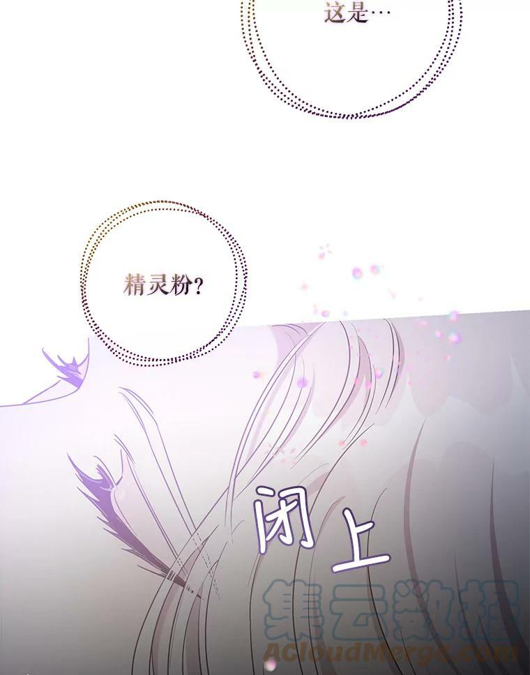 53.精灵的秘密24