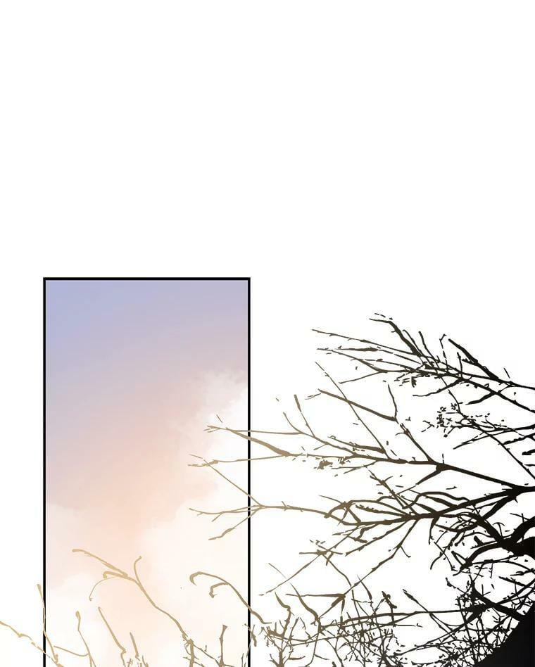 56.画像53