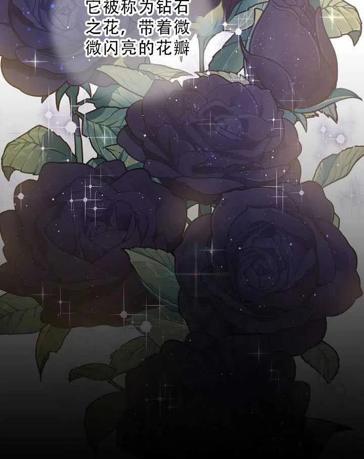 32.黑玫瑰2