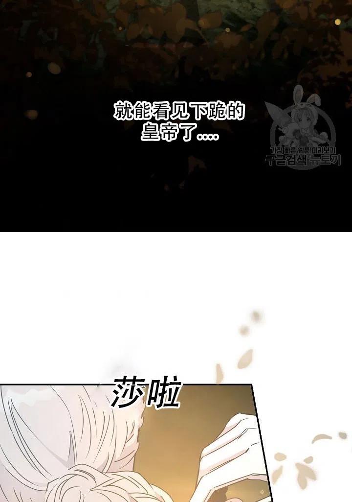 39.谋反（4）35