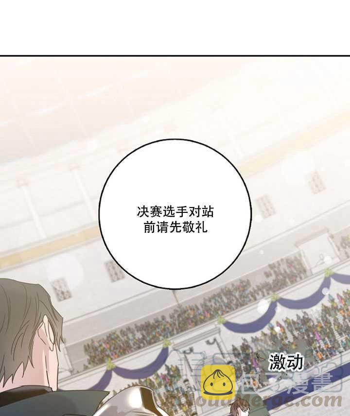 19.杀入决赛52