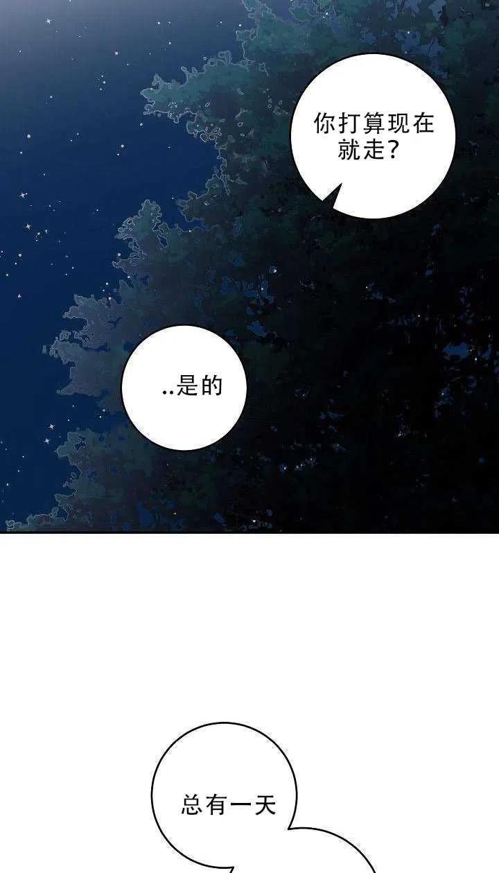 31.舞会（2）61