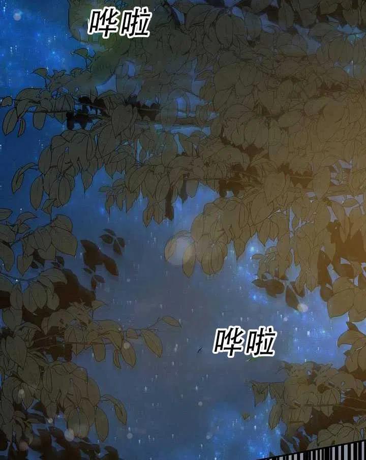 32.黑玫瑰31