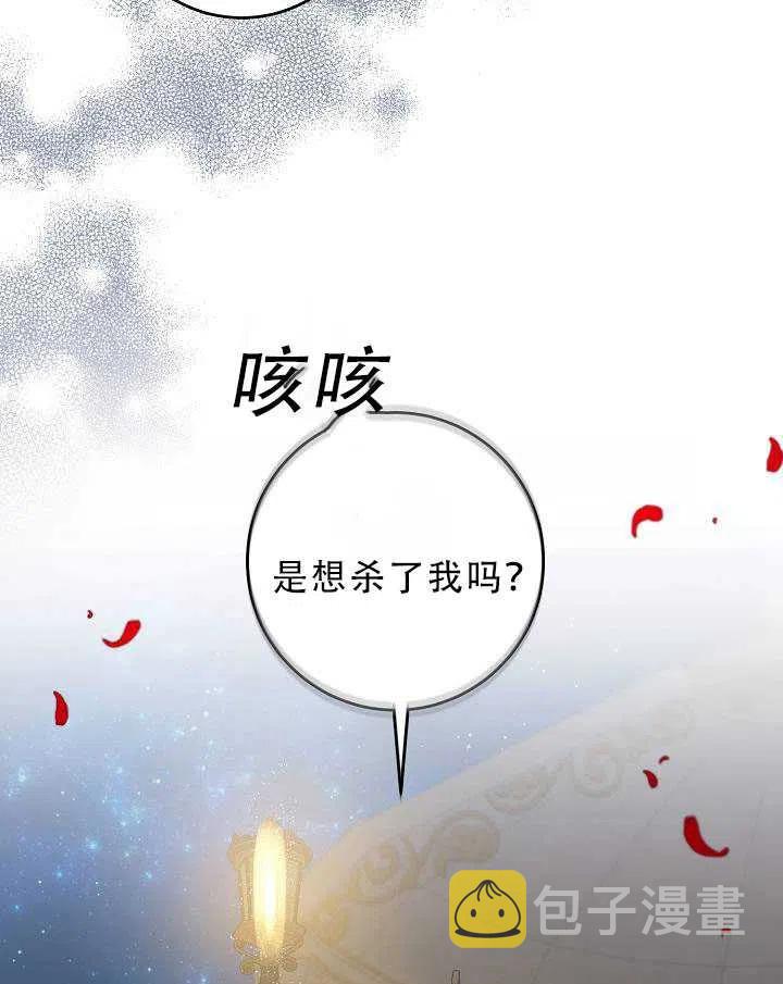 32.黑玫瑰19