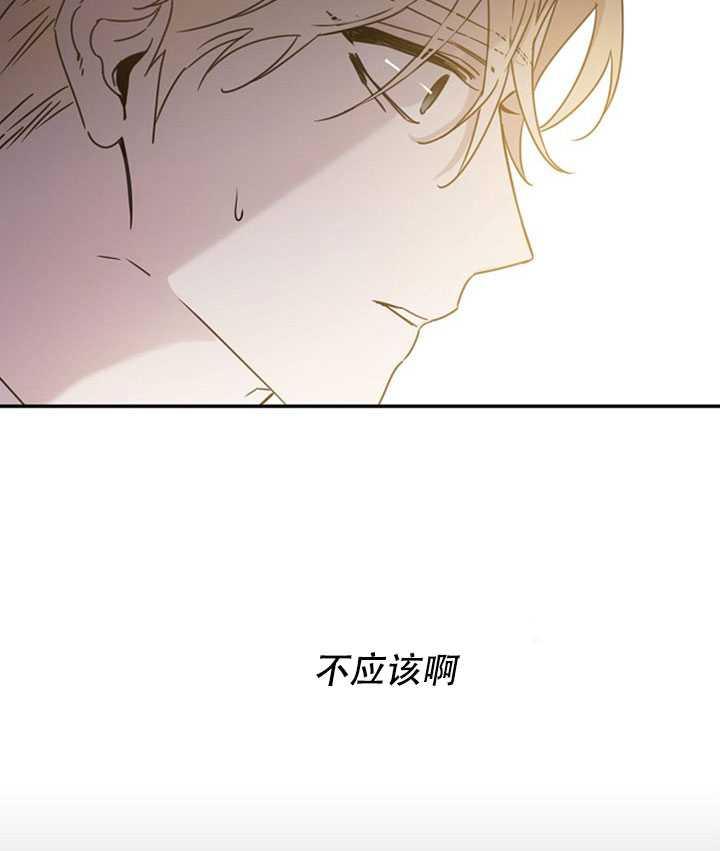 19.杀入决赛13