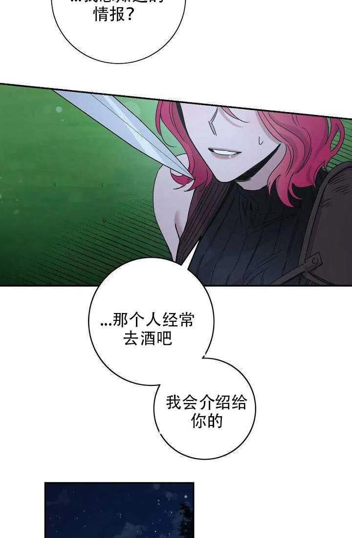 29.情报19