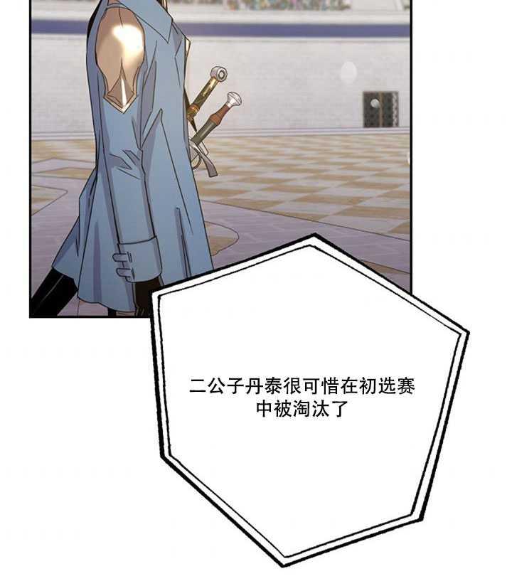 20.庆典上的偶遇3