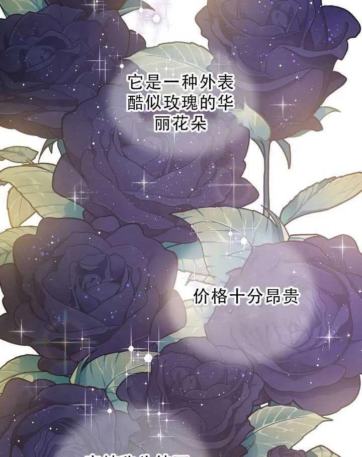 32.黑玫瑰1