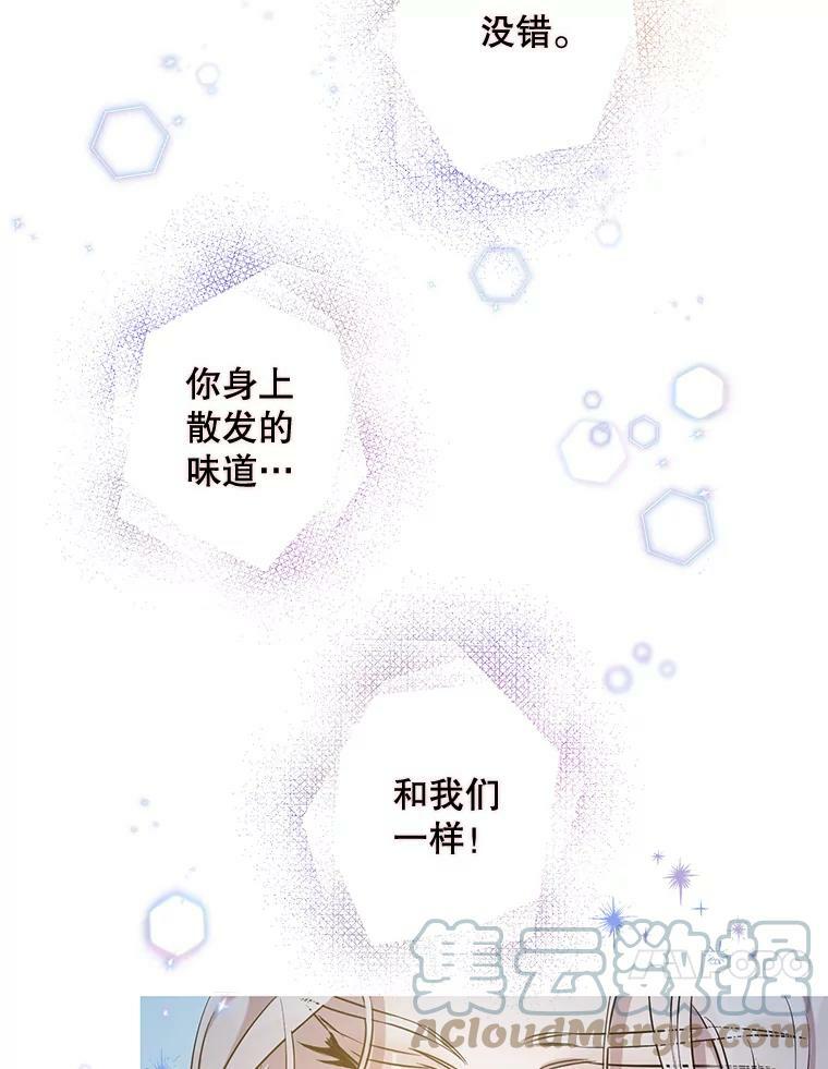 53.精灵的秘密9