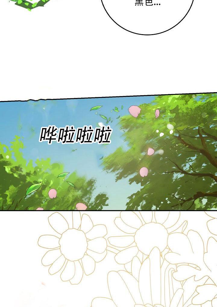 24.白纸99