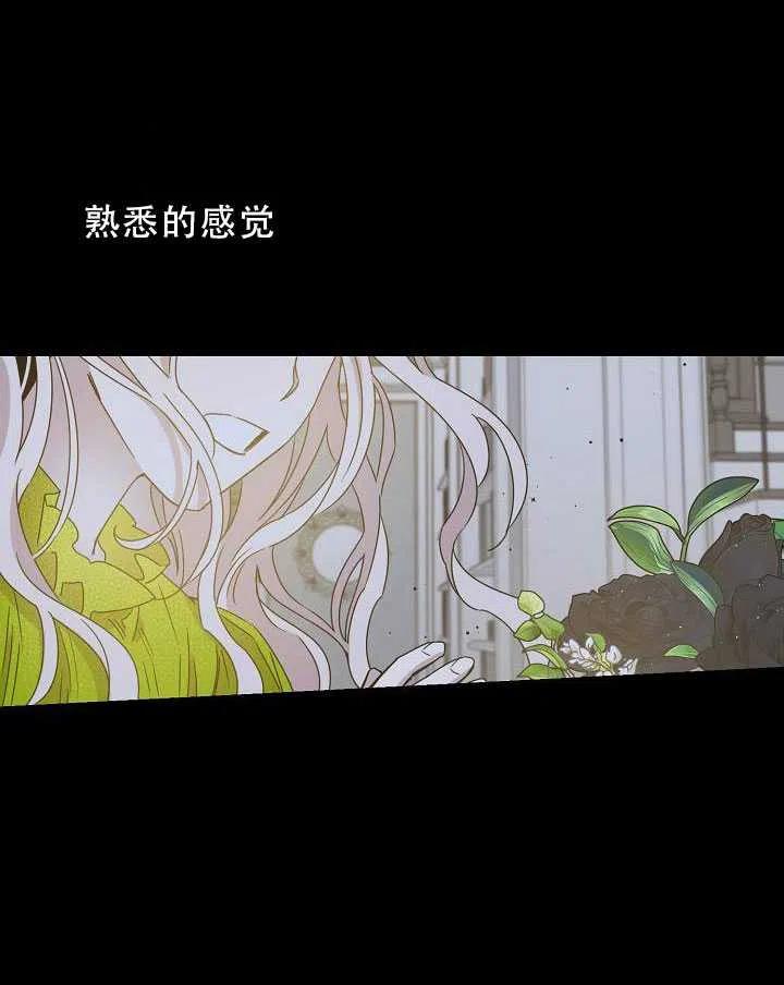 32.黑玫瑰25