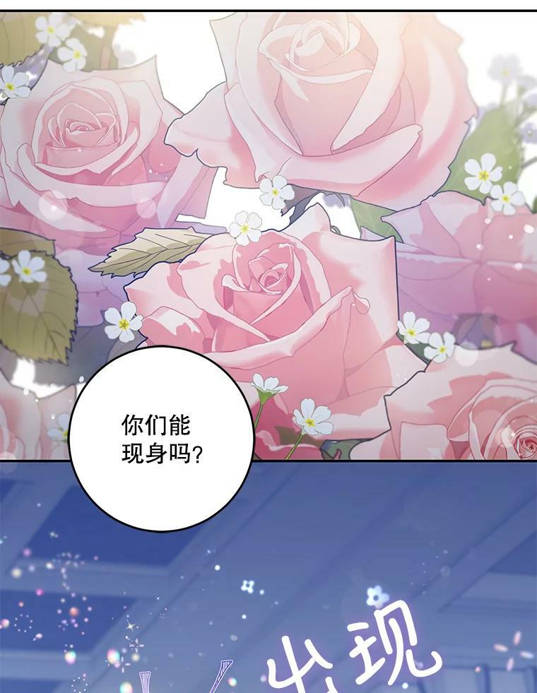 53.精灵的秘密2