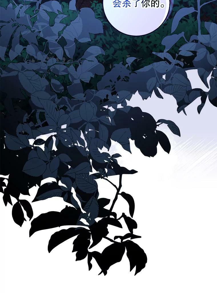 63.艾西利特碎片74