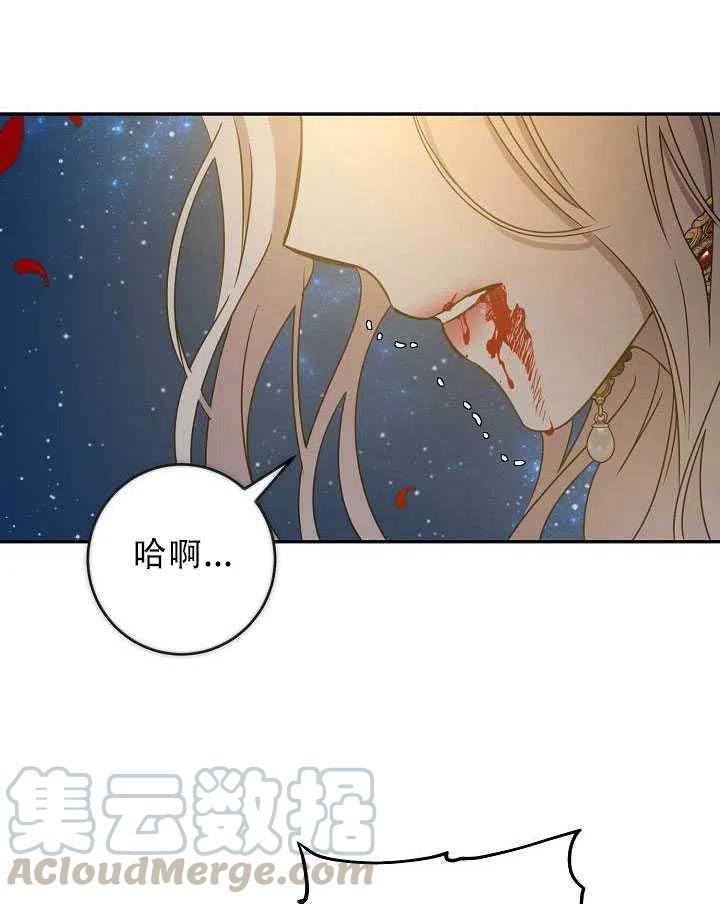 32.黑玫瑰28