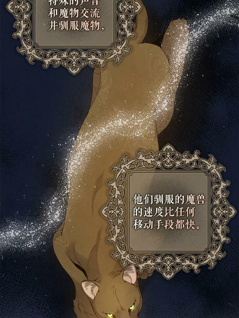 78.拉菲内一族114