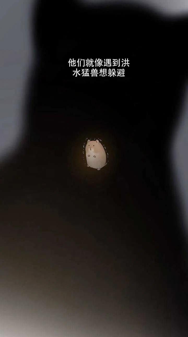 29.情报41