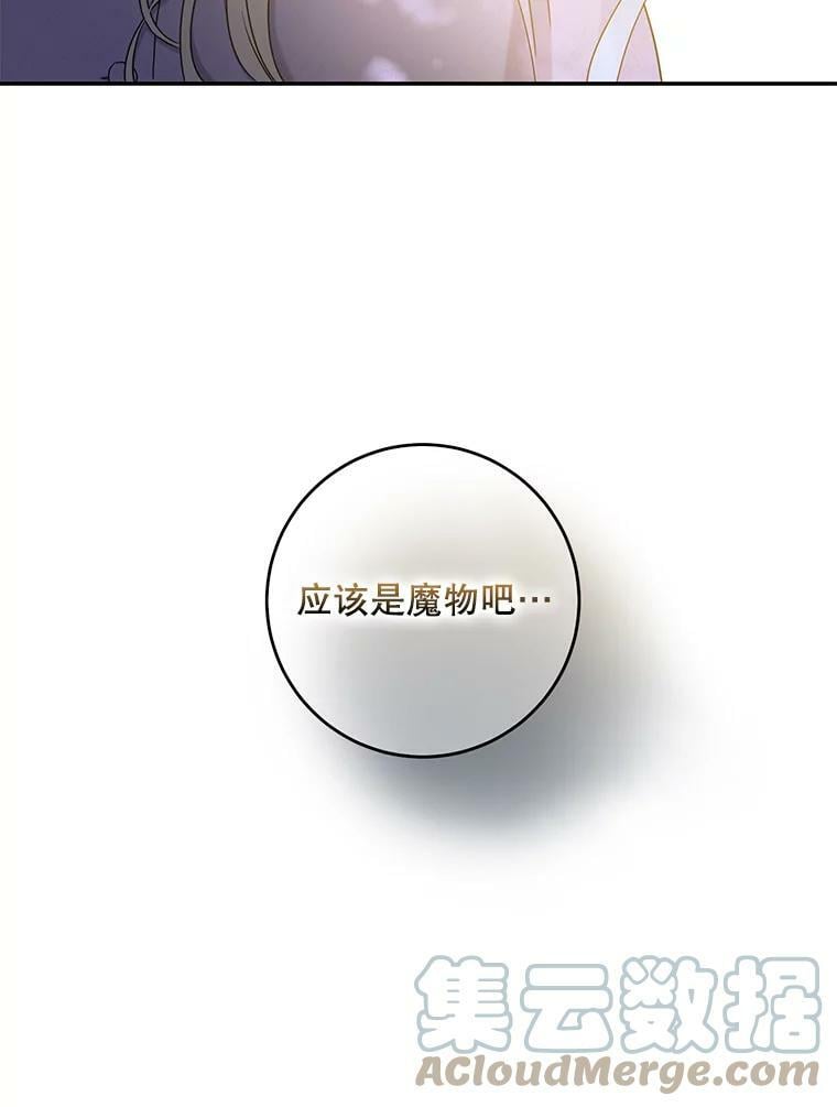 56.画像52