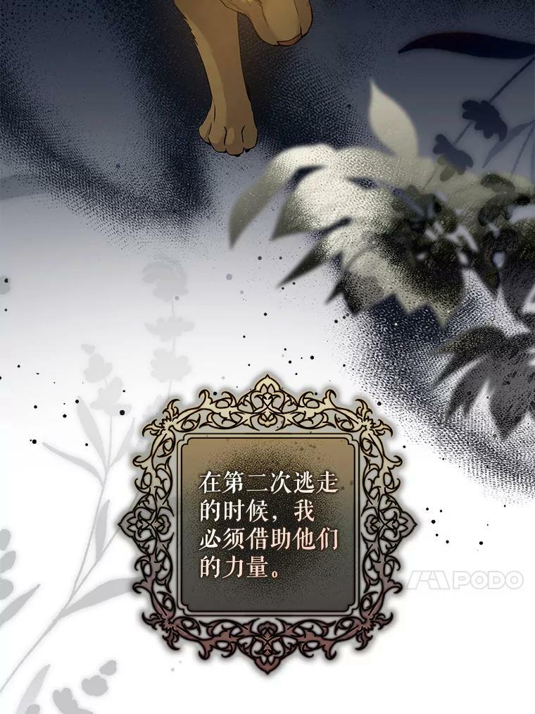 78.拉菲内一族115