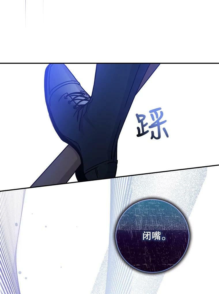 78.拉菲内一族95