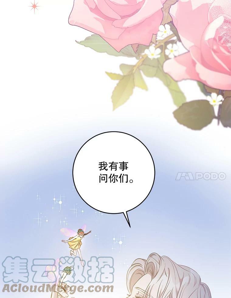 53.精灵的秘密6