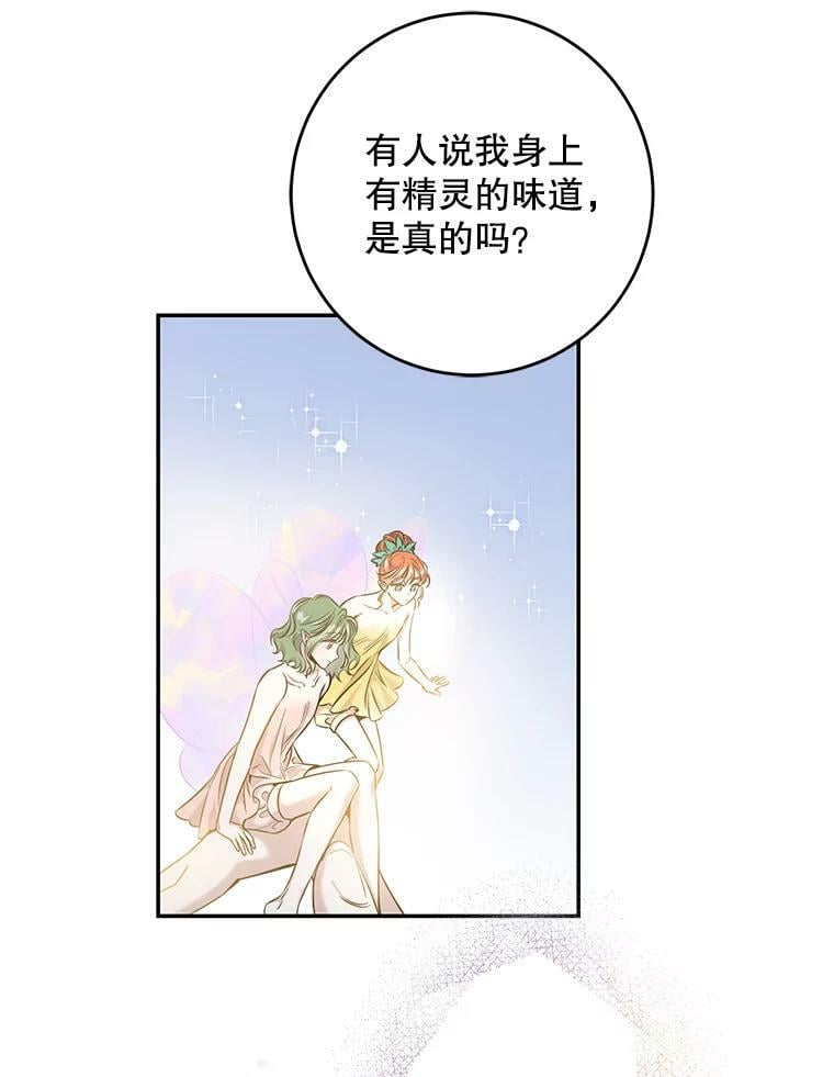 53.精灵的秘密8