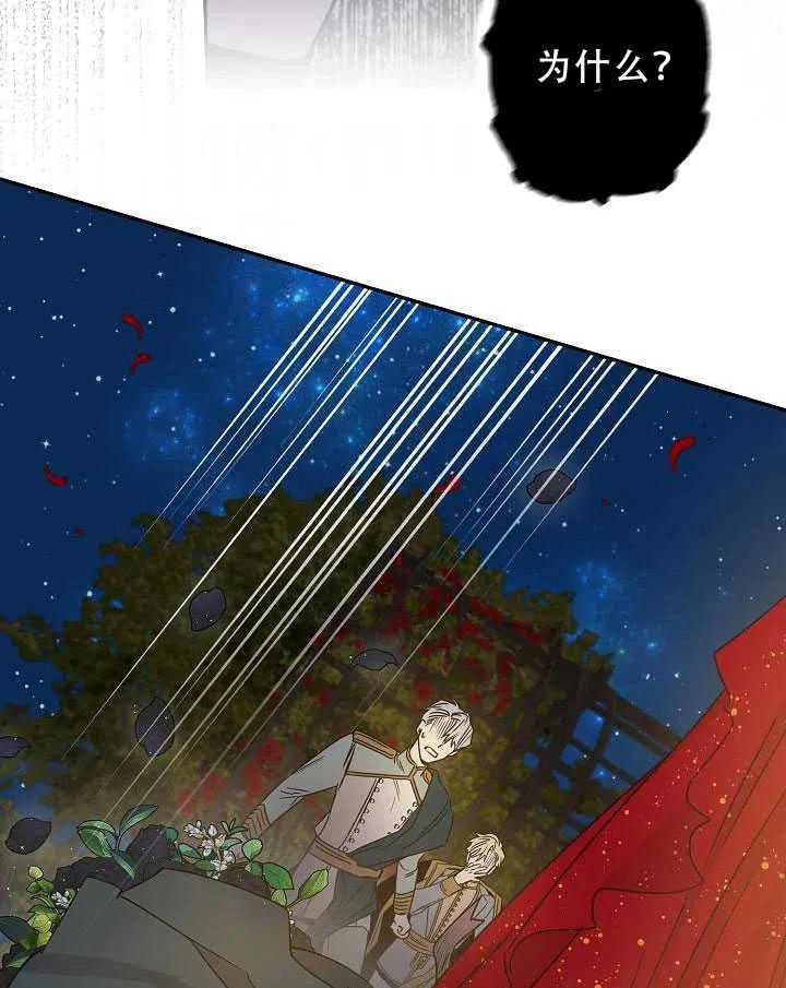 32.黑玫瑰23