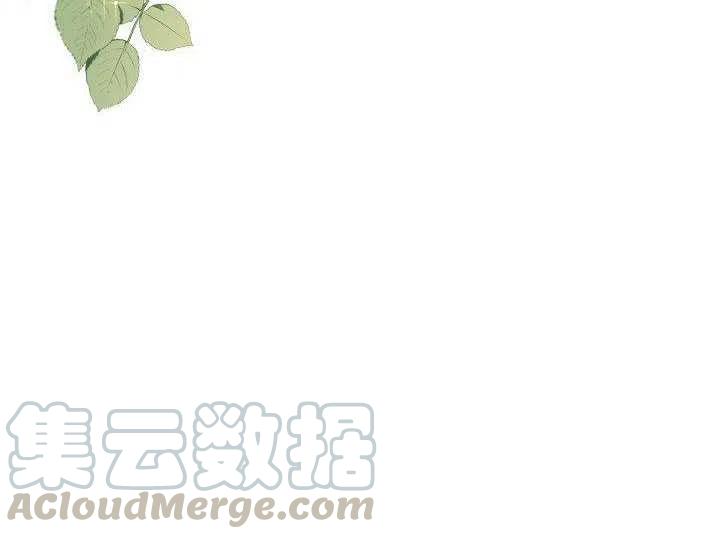 30.舞会（1）100