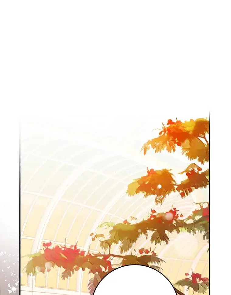 85.坦白2
