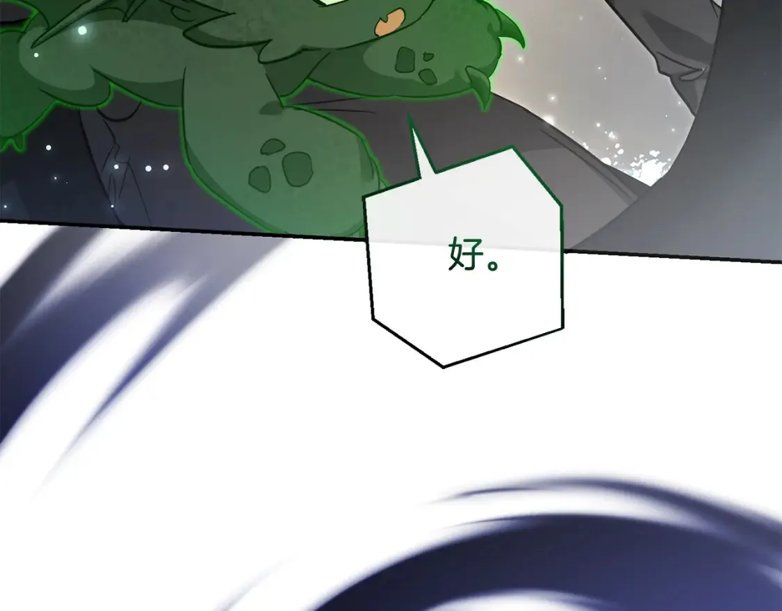 第118话 行动开始217