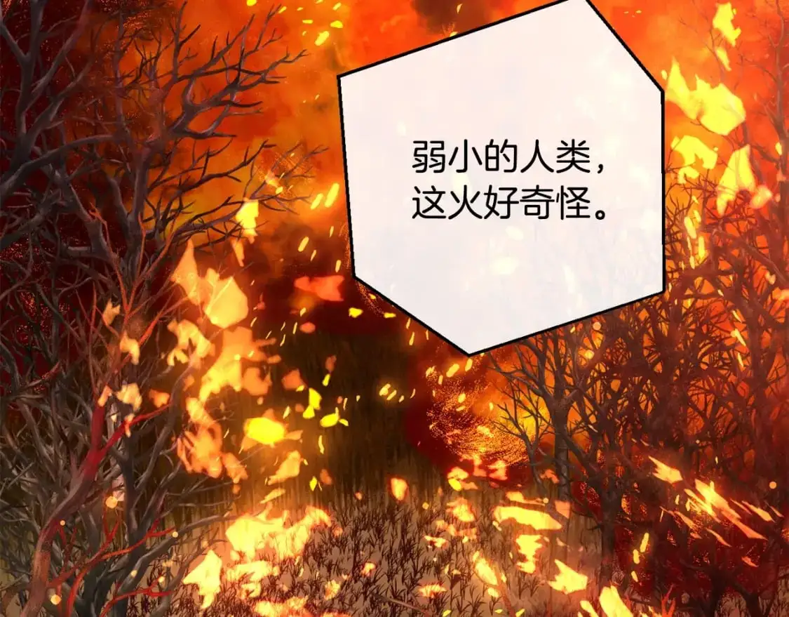 第107话 别跟过来4
