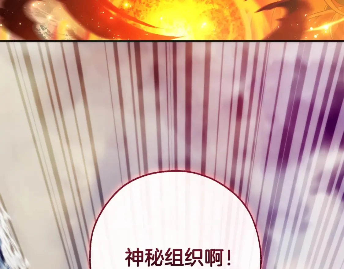 第119话 我们是神秘组织167