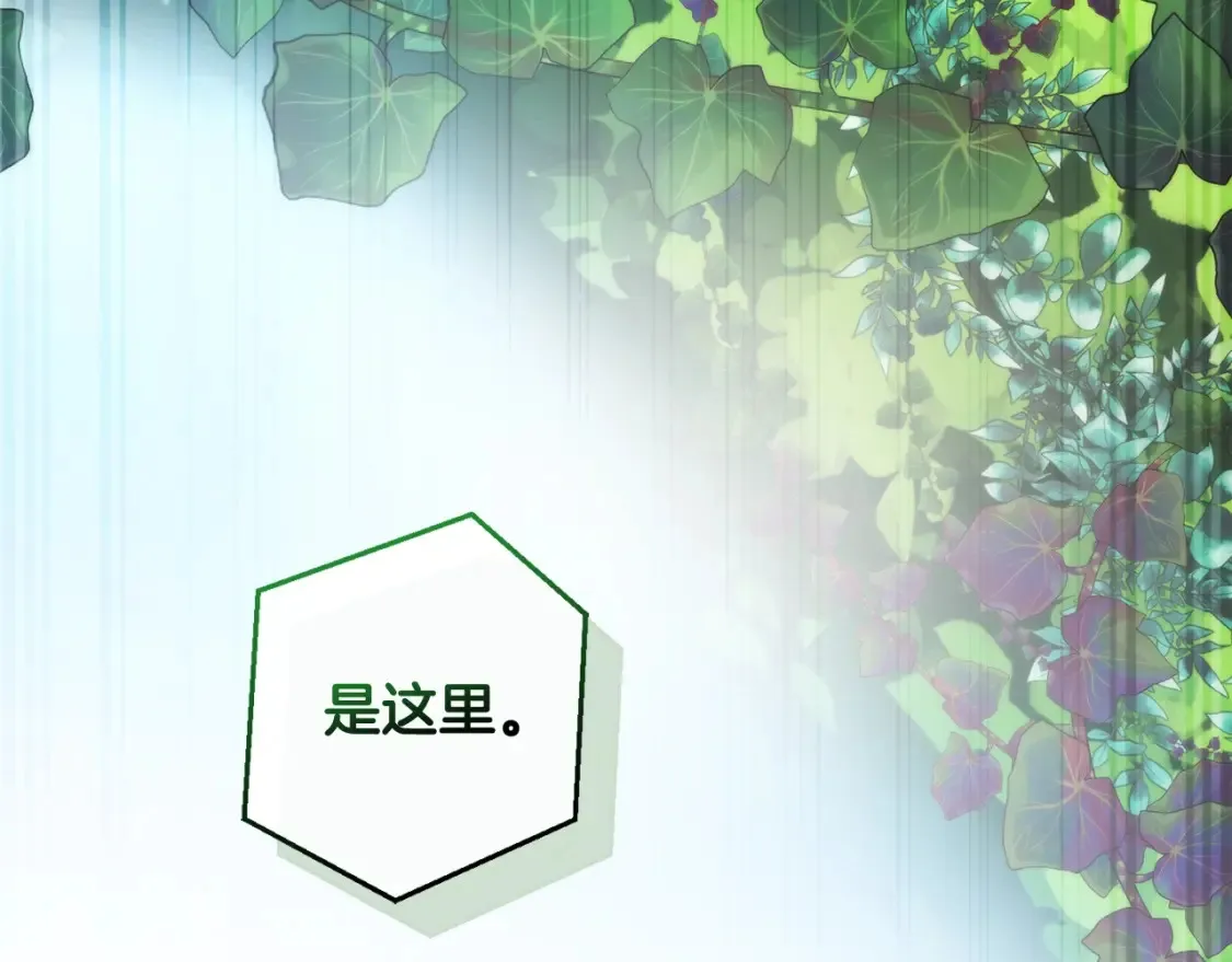 第118话 行动开始138