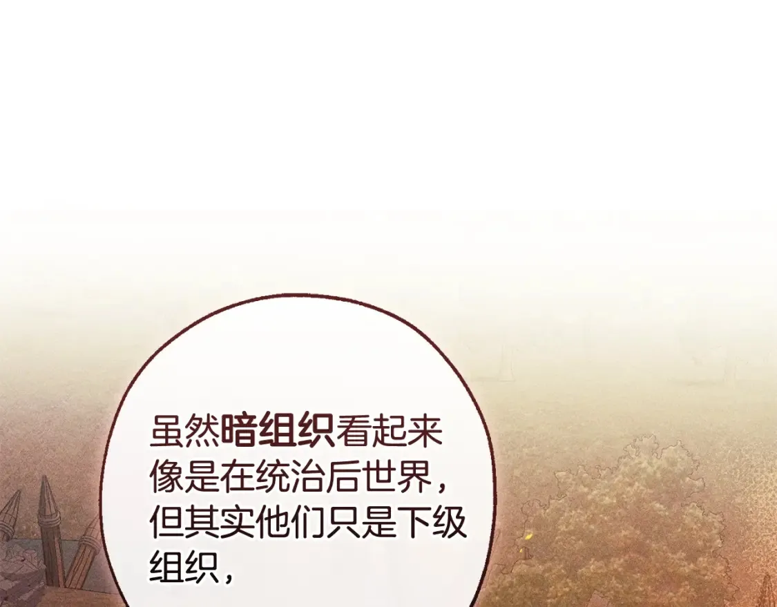 第115话 “暗”组织20