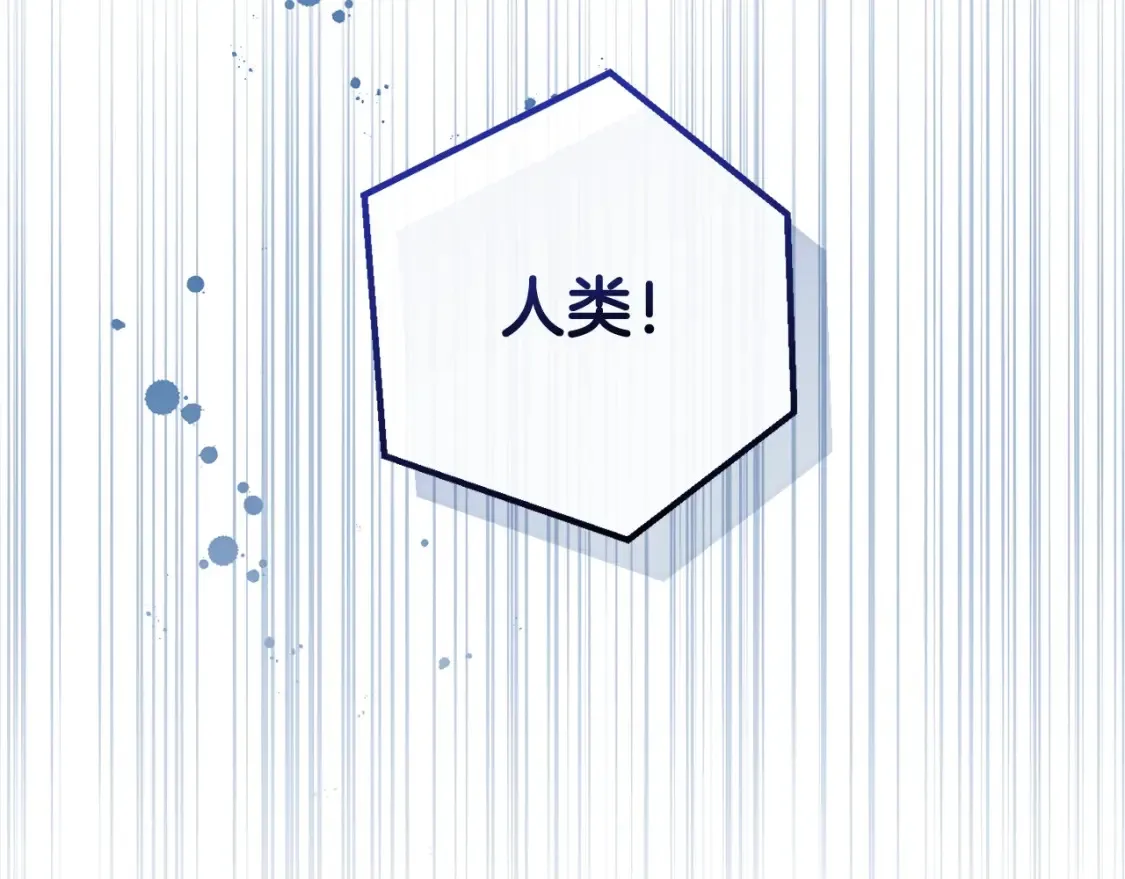 第118话 行动开始232