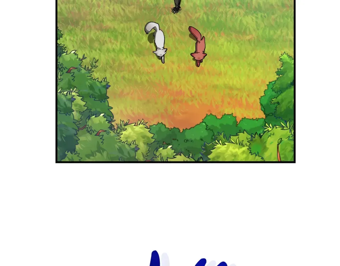 第118话 行动开始166
