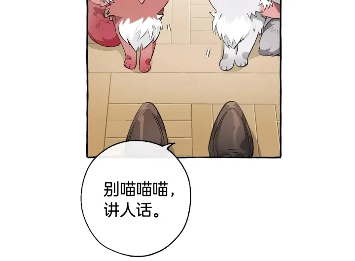第12话 奇怪的传闻11