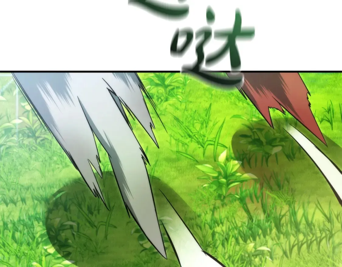 第118话 行动开始133