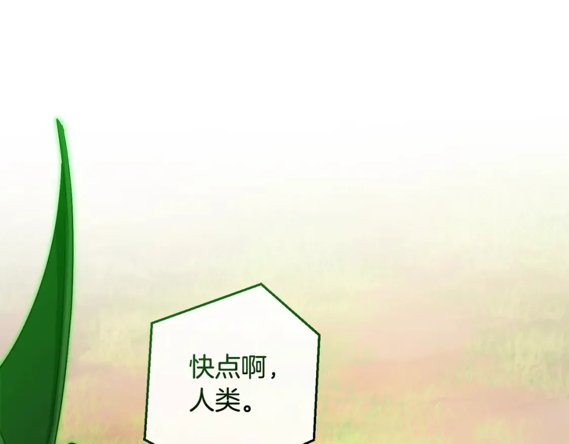 第118话 行动开始176