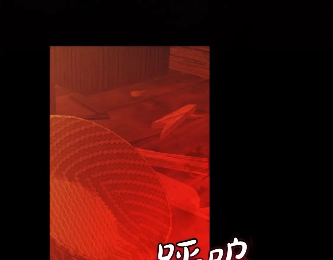 第115话 “暗”组织59