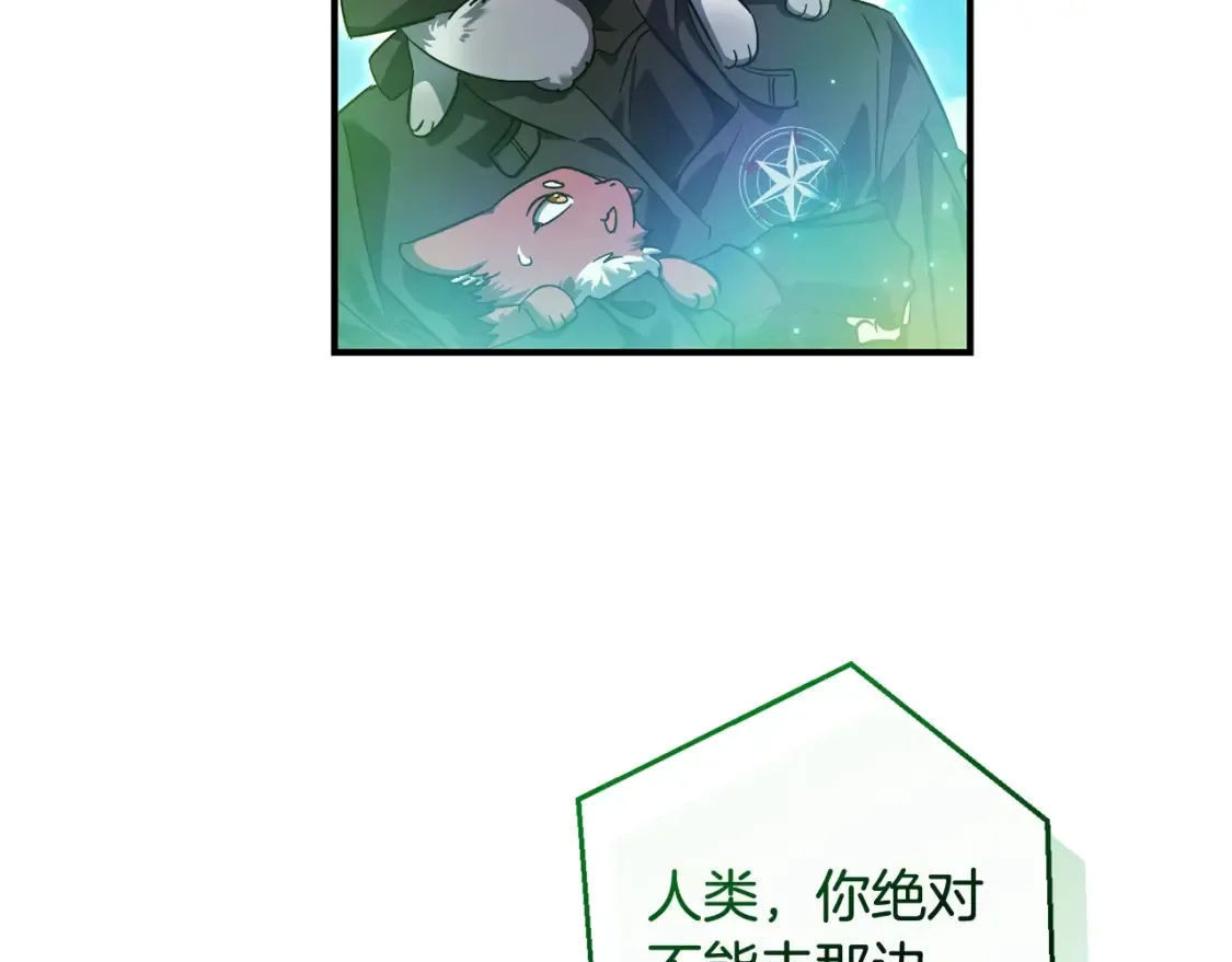 第118话 行动开始17