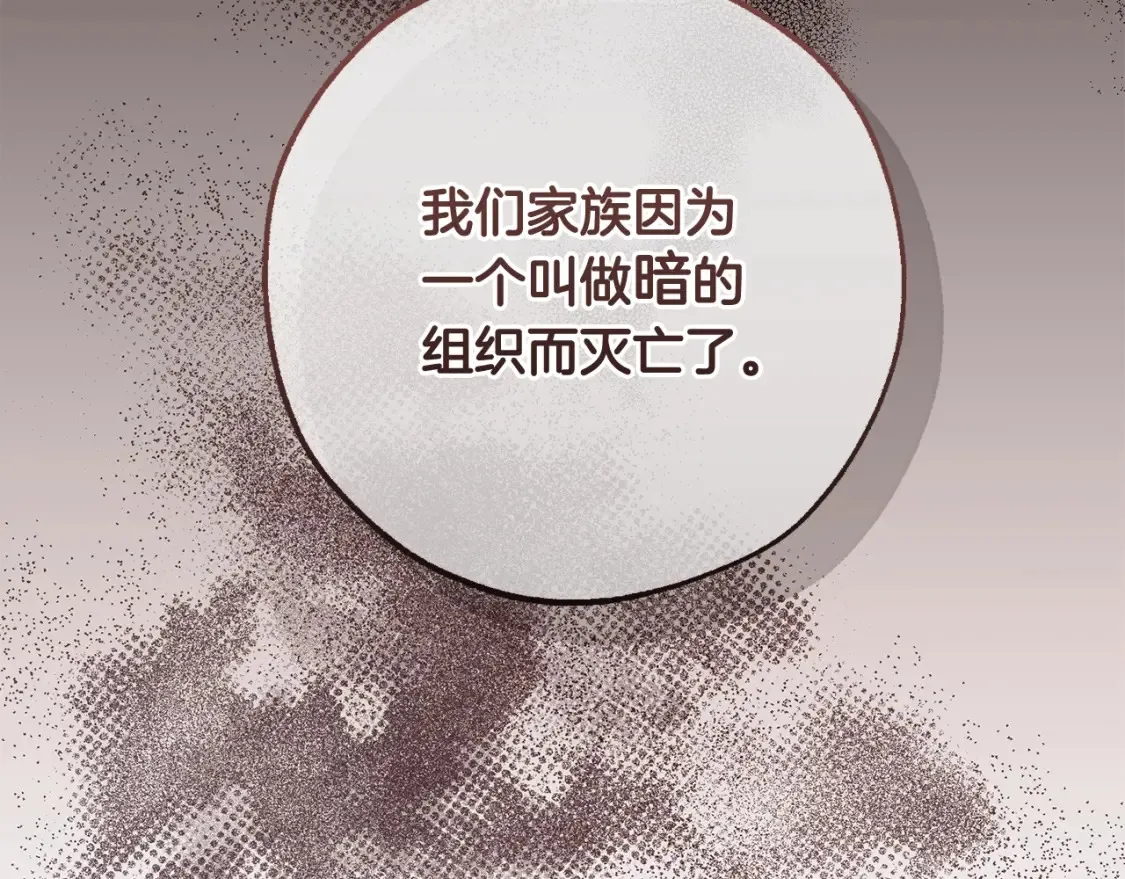 第115话 “暗”组织17