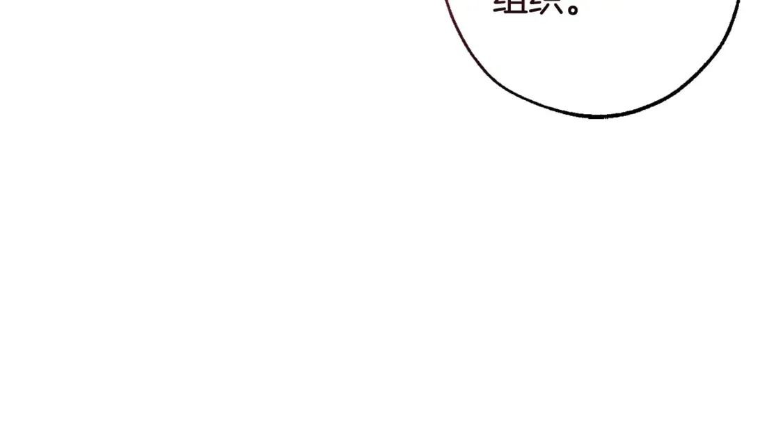 第119话 我们是神秘组织125